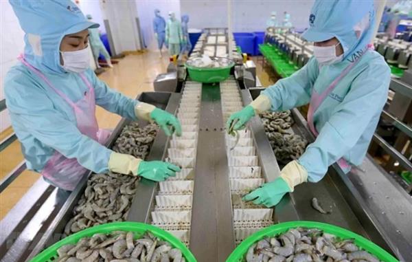 Quản lý chất lượng: Đòn bẩy nâng năng suất, khẳng định vị thế